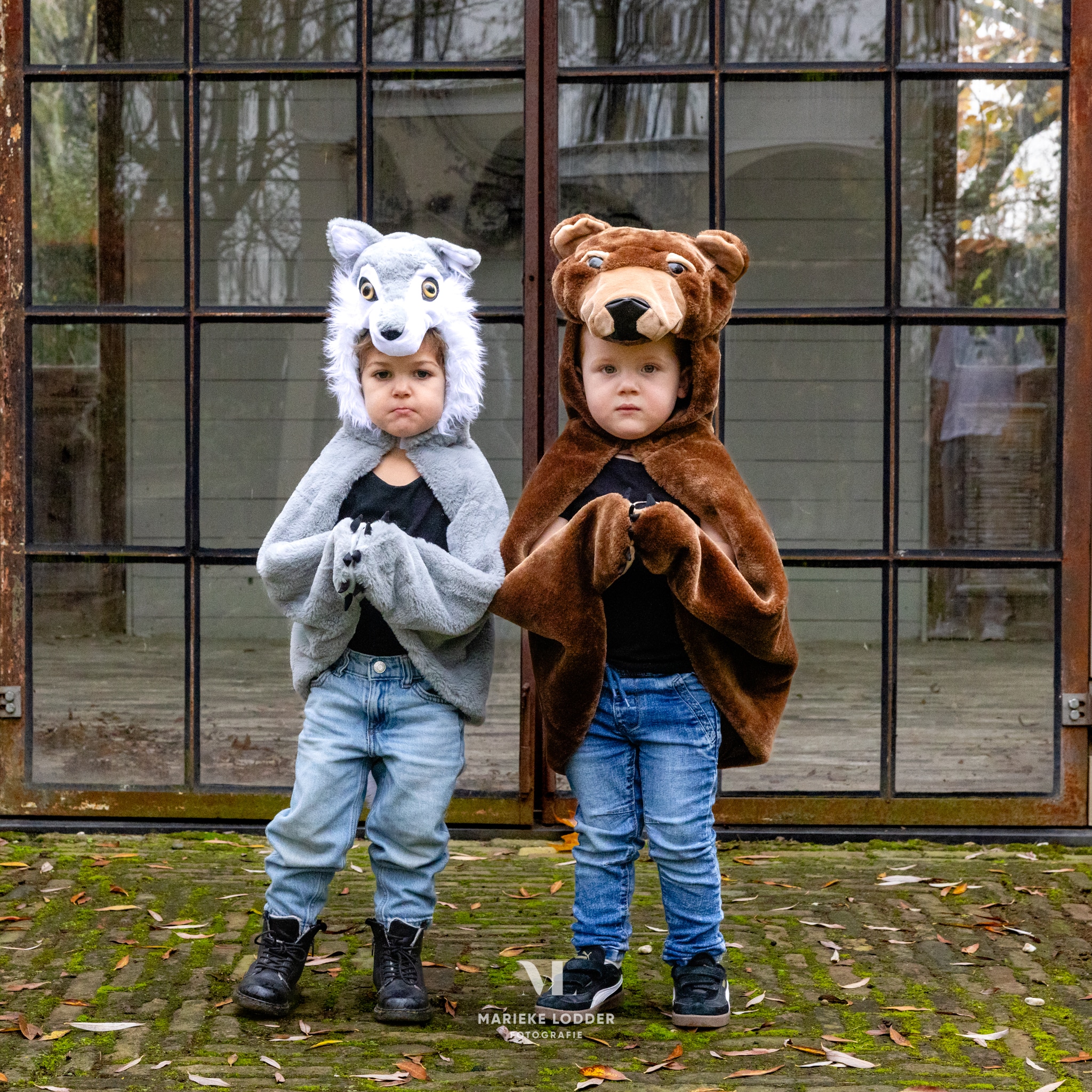 HetBetereMerk-Prinsessenjurk20250060