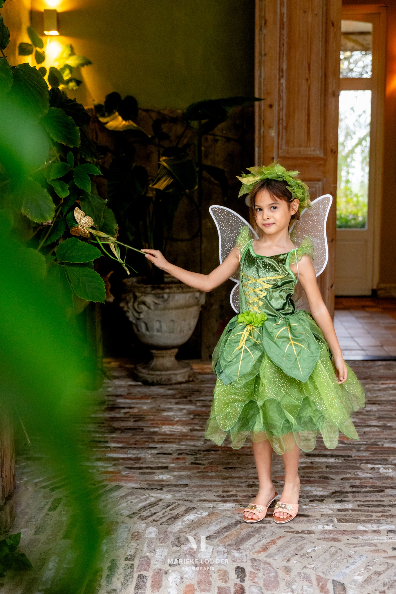 HetBetereMerk-Prinsessenjurk20250160