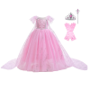 Frozen roze Elsa jurk met accessoires