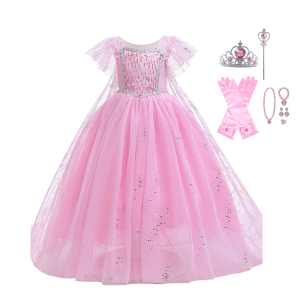 Frozen Elsa roze prinsessenjurk met sleep en accessoires