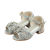 Prinsessenschoenen Livia met hakjes zilver