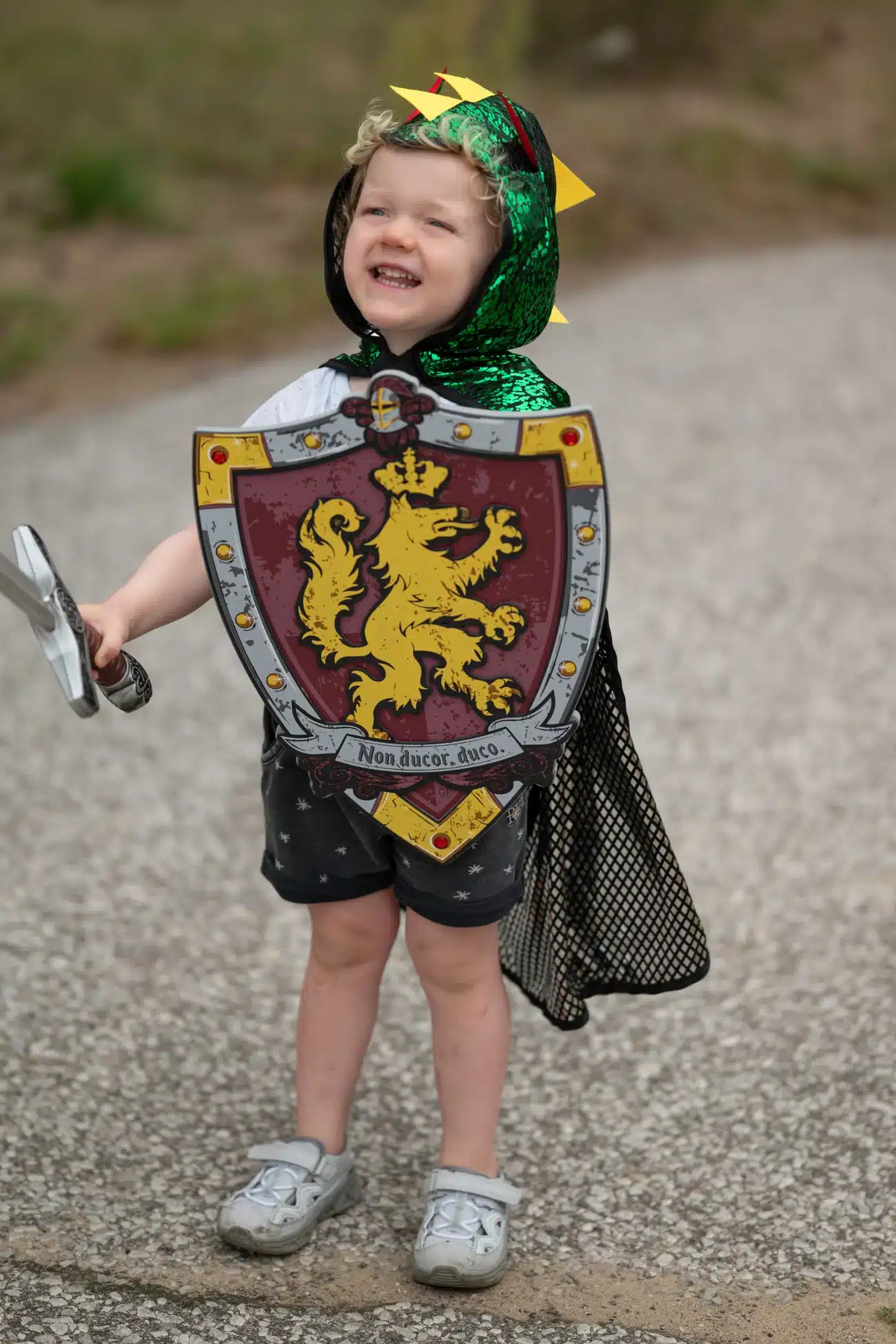 Great Pretenders - Ridder zwaard - Afbeelding 5