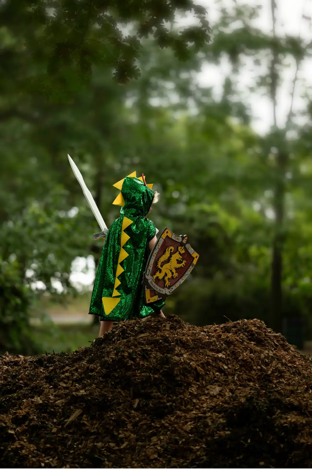 Great Pretenders - Ridder zwaard - Afbeelding 4