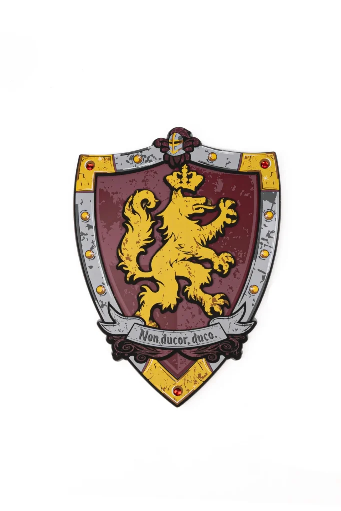 ridder schild www.prinsessenjurk.nl